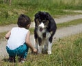 Child playing with dogs Royalty Free Stock Photo