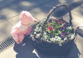 A child is playing in a flower bed Royalty Free Stock Photo