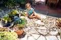 Children Taking Game In The Garden. Royalty Free Stock Photo