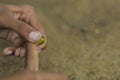 A child playing with glass marbles which is an old Indian village game. Glass Marbles are also called as Kancha in Hindi Language Royalty Free Stock Photo
