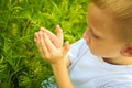 Child playing on meadow examining field flowers Royalty Free Stock Photo