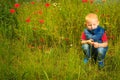 Child playing on meadow examining field flowers Royalty Free Stock Photo