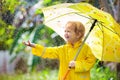 Child playing in the rain. Kid with umbrella