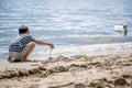 Child playing sands on the beach while swan swimming in water. One little Asian boy in casual clothing with cygnus olor in Royalty Free Stock Photo