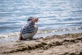 Child playing sands head down on the beach. One little Asian boy in casual clothing beside water in Switzerland Royalty Free Stock Photo