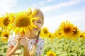 Child playing in sunflower field on sunny summer day Royalty Free Stock Photo