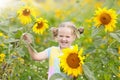 Child in sunflower field. Kids with sunflowers. Royalty Free Stock Photo