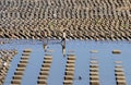 A child playing water in the dam Dam water Colo Nguter Sukoharjo Central Java Indonesia Royalty Free Stock Photo