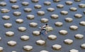 A child playing water in the Dam water Colo Nguter Sukoharjo Ce Royalty Free Stock Photo