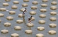 A child playing water in the Dam water Colo Nguter Sukoharjo Ce Royalty Free Stock Photo