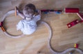 Child playing with wooden toy train Royalty Free Stock Photo