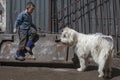 A child plays with a dog.