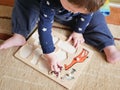 A child plays a game developing motor skills. the child remembers the types of animals Royalty Free Stock Photo