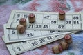 The child plays lotto. hold the barrels in your hands. board game during the weekend and insulation at home