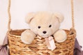 A child plays with a plush bear. Kids toys. Teddy sitting in the balloon basket, aerostat. Retro teddy bear. Toy teddy bear alone