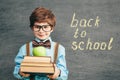 Child portraitCheerful smiling little boy against  chalkboard. Looking at camera. School concept Royalty Free Stock Photo