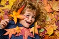 Child portrait close up, kid lying in autumn leaves. Children throwing yellow leaves. Child boy with oak and maple leaf