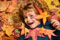 Child portrait close up, kid lying in autumn leaves. Children throwing yellow leaves. Child boy with oak and maple leaf