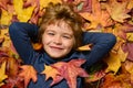 Child portrait close up, kid lying in autumn leaves. Children portrait with yellow leaves. Child boy with oak and maple Royalty Free Stock Photo