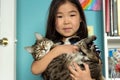 Child portrait with domestic pet, cute asian girl holding tabby cat Royalty Free Stock Photo