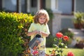 Child pouring water on the trees. Kid helps to care for the plants in the garden. Little boy with a watering can on Royalty Free Stock Photo