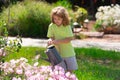 Child pouring water on the trees. Kid helps to care for the plants in the garden. Little boy with a watering can on Royalty Free Stock Photo