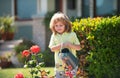 Child pouring water on the trees. Kid helps to care for the plants in the garden. Little boy with a watering can on Royalty Free Stock Photo