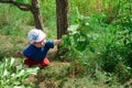 Child pulls the arm to the leaf on a tree branch