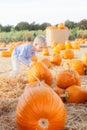 Child at pumpkin patch