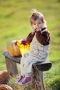 Child with pumpkins Royalty Free Stock Photo