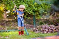 Child and rake in autumn garden. Kid raking leaves Royalty Free Stock Photo