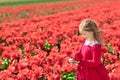 Child in red flower field. Poppy and tulip garden. Royalty Free Stock Photo