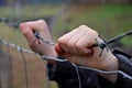 Child in a refugee camp behind a wire fence in winter rainy day. holding barbed wire with small hands. knitted gloves white finger