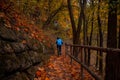 Child ride bike back to camera in country side October landscaped park land, weekend life style concept photo Royalty Free Stock Photo