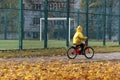 Child ride bike on playground on yellow fallen leaves background. Boy in yellow coat. Autumn day