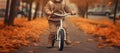 Child rides a bike in city park. Small child is learning to ride a bike on an asphalt road in the autumn forest. Generative AI