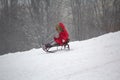 Child rides a sled