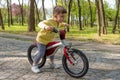 Child riding a bike on sunny day. Happy child learning to ride