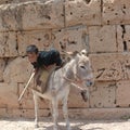 Child riding a donkey