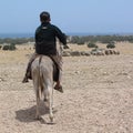 Child riding a donkey