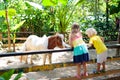 Child riding horse. Kids ride pony Royalty Free Stock Photo