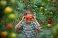 Child with ripe red tomatoes in the greenhouse. Concept healthy eating vegetables for kids Royalty Free Stock Photo