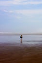 Child Runs on Beach Alone. Massive beach with small child. Vertical. Royalty Free Stock Photo