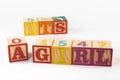 A child`s alphabet toy spelling word block set, spelling out the words it`s a girl Royalty Free Stock Photo
