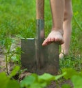 Child`s bare foot on the metal spade