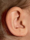 Child`s ear delicate skin as a background