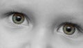The child's eye