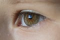 Child\'s eye close-up macro lens Royalty Free Stock Photo