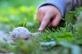 Child`s finger pointing on the snail. Image with selective focus