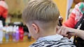 Child`s haircut at the Barber shop